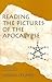 Reading the Pictures of the Apocalypse: Notes from Sixteen Lectures by