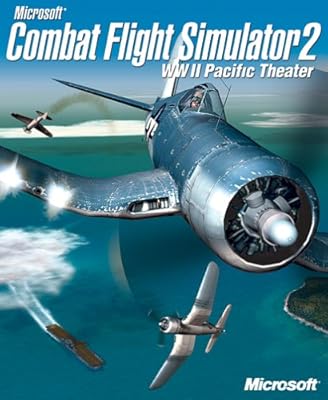 Combat flight simulator ps3