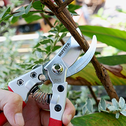 Professional Hand Pruning Shears Set, Bypass Gardening Shears with Stainless Steel / SK-5 High Carbon Steel, 1'' Cutting Capacity, Suitable for garden art, trimming branches, flowers, vines, etc - Thumbnail 7