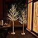 EAMBRITE Warm White LED Tree Light Winter Wedding Home Decorative Tree Light for Indoor and Outdoor Use (5FT Birch Tree Lights)