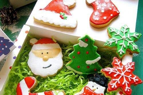 14 Pcs Christmas Cookie Cutters Stainless Steel Holidays Cookies Molds for Xmas Holiday Cookies, Making Muffins, Biscuits, Sandwiches, Snowflake Cookies, Christmas Party and Baking Gift