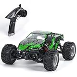 GPTOYS Remote Control Car - 4x4 Hobby Grade Off Road Electric RC Cars