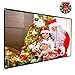 Varmax Video Projector Screen 100 inch