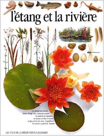 couverture de : L'&eacute;tang et la rivi&egrave;re