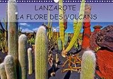 LANZAROTE LA FLORE DES VOLCANS 2019: LANZAROTE DES CHAMPS DE LAVE NATURELLEMENT FERTILES (Calvendo P by