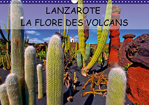 LANZAROTE LA FLORE DES VOLCANS 2019: LANZAROTE DES CHAMPS DE LAVE NATURELLEMENT FERTILES (Calvendo P by (Calendar)