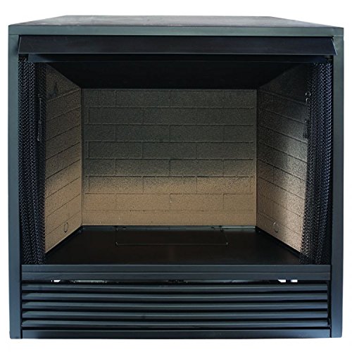 Propane Fireplace Insert
