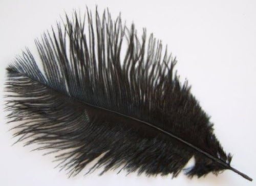 Sparkles Gems UK 5 x 10" 25cm Ostrich Feathers Plumes - Black