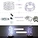 Fairy Lights Plug in, USB White Twinkle Lights USB Led String Lights 33Ft 100LEDs White Christmas Lights, Led Christmas Lights with Dimmable Remote for Bedroom Wedding Party Halloween(Daylight White)
