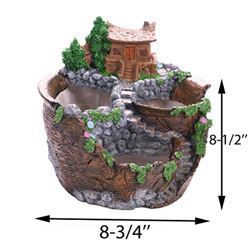 Y-Nut Succulent Cactus Planter Flower Pot, Creative Novelty Vintage Rasin Made, Stone and Wood Like PP-SH6026-ORG