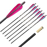 DRAGON CARBON Crossbow Bolt 20-Inch with 3K Woven