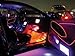 TDLTEK 8 Pack Neon Glowing Strobing Electroluminescent Wire/El Wire(Blue, Green, Red, White, Pink, Purple,Orange, Yellow) + 3 Modes Battery Controllers