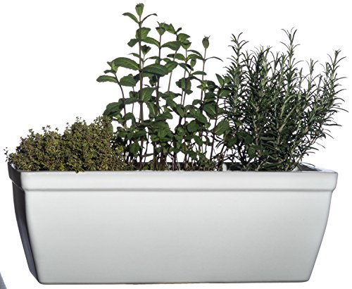 Hentschke Keramik Balkonkasten Fensterkasten frostsicher 48 x 19 x H 17 cm, weiß, 259.048.04 - Made in Germany – Bild 5