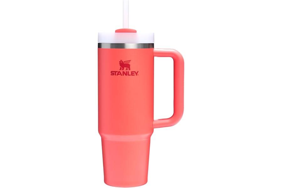 Stanley Quencher H2.0 Tumbler with Handle and Straw 30 oz | Flowstate 3-Position Lid | Cup Holder Compatible for Travel | Ins Book