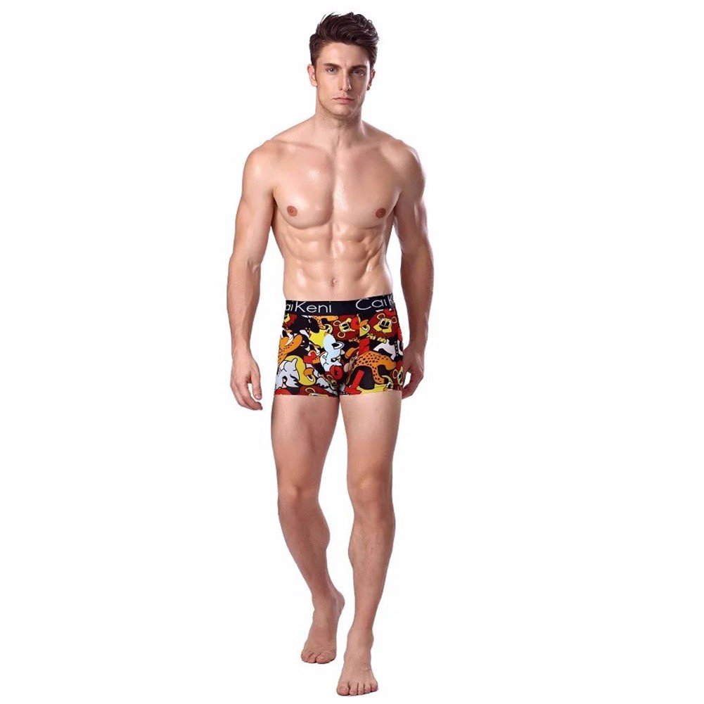 CAIKENI Men\'s Underwear Sexy Modern Ice Silk Underpants Comfort Fitting Trunk