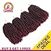 4 Packs Spring Twist Crochet Braids 8Inch 30 Strands Low Temperature Fiber Color 2 Tone Synthetic Spring Curl Braiding Hair Extensions Crochet Braiding (#1B/BUG Black to BUG)