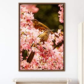 signwin Framed Canvas Wall Art Single Bird Birds...