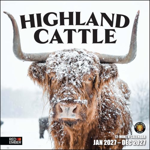 Highland Cattle 2027 Wall Calendar