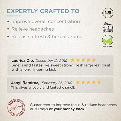 1 Basil+Essential+Oil+Therapeutic+Relaxation
