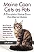 Maine Coon Cats as Pets: Maine Coon Cat Breeding, Where to Buy, Types, Care, Temperament, Cost, Heal by Lolly Brown