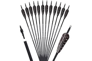 PANDARUS Archery 31-Inch Carbon Hunting Arrows, Turkey Feather Fletching with Replaceable Points, Targeting Practice Arrows Spine 500 for Recurve Bow, Longbow, Traditional Bow