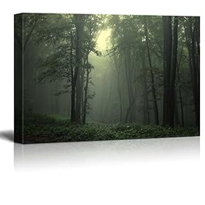 Beautiful Scenery Landscape a Beam of Light in...