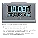 DreamSky Digital Alarm Clock with Battery Backup, 5 Inch Large Display, Auto Set Clock, USB Charging Ports, 12/24H