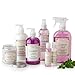 Stonewall Kitchen Lavender Mint Fine Home Keeping Hand Soap, 16.9 Ounces