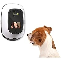 doggie cam amazon