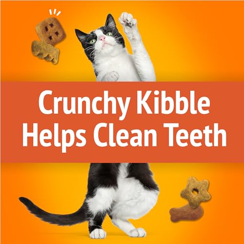 Friskies Purina Made in USA Facilities Cat Treats, Party Mix Original Crunch - 30 oz. Pouch