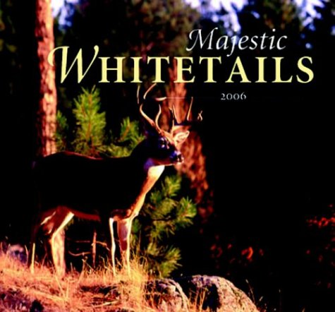Majestic Whitetails 2006 Wall Calendar