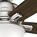 Hunter Indoor Ceiling Fan with LED Light and pull chain control - Donegan 60 inch, Brushed Nickel, 54172