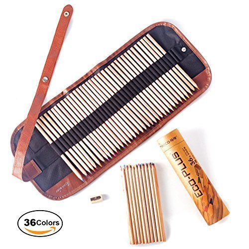 36 Assorted Colored Pencils, Artist Coloring Pencils with Canvas Roll-up Case Bag Pencil Set for Adult Coloring Books, Artist Sketch and School Work