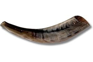 Authentic & Kosher Polished Ram's Horn Shofar from Israel (10" - 12")