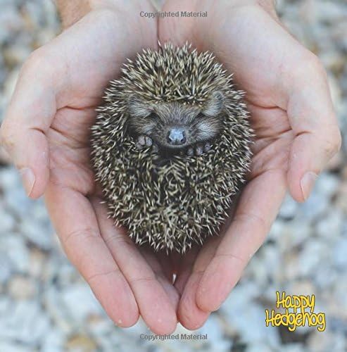 Happy Hedgehog: Blank Journal With Cute Pictures of Hedgehogs on the Front and Back Covers Diary – December 14, 2015