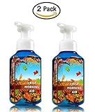 Bath & Body Works Crisp Morning Hand Soap - Pack of 2 Crisp Morning Air Gentle Foaming Hand Soaps