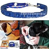 FidgetGear Don Sullivan Dog Adjustable Command Training Collar Large