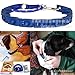 FidgetGear Don Sullivan Dog Adjustable Command Training Collar Large