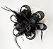 Coolr Fascinator Hair Clip Cocktail Headwear Flower Bridal Headpieces (Black)
