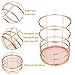 CAVEEN Wire Net Pencil Holder Round Iron Mesh Pen Cup Stationery Desk Organizer for Office Home School Rose Gold