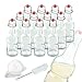 TeiKis 12-Pack 16 oz Kombucha/Beer Glass Bottles Clear Leak Proof - Non Slip Style