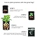 TEEL Potato Grow Bag 2 Pack 10 Gallon Garden Planting Grow Bags with Access Flap and Handles for Potato, Carrot, Onion,Tomato and Flower,Outdoor/Indoor Vegetables Container Bagsthumb 4