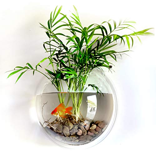 RuiyiF Fish Tank Wall Mounted, Wall Hanging Acrylic Fish Bowl Small Aquarium for Beta Fish Goldfish Home Decor Size 6 Inch