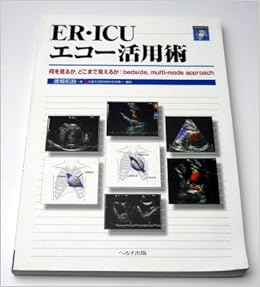 Er Icuエコー活用術 何を見るか どこまで見えるか Bedside Multi Mode Approach 渡橋 和政 本 通販 Amazon