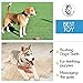 Pets&Goods Heavy Duty Rope Toy for Active Chewers, Washable 100% Cotton Dog Chew Toys - Tug of War, Pack of 9 Puppy Teething Toys (Small Breed, 9, Count)