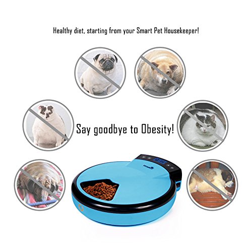 Petwant 5 Meal Automatic Pet Feeder For Dogs Cats With Dual