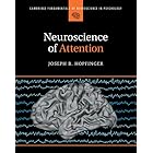 Neuroscience of Attention (Cambridge Fundamentals of Neuroscience in Psychology)