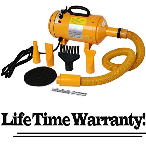 Top 10 Best Dog Grooming Dryers High Velocity Top Reviews No Place