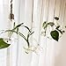 Mkono 3 Pack Hanging Terrarium Flower Plant Glass Vase Light Bulb Shape Home Weeding Decor