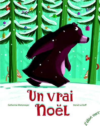 Un Vrai Noel (French Edition) by Catherine Metzmeyer, Hervé Le Goff